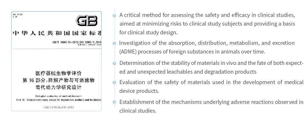 欧美性XXXXX极品娇小