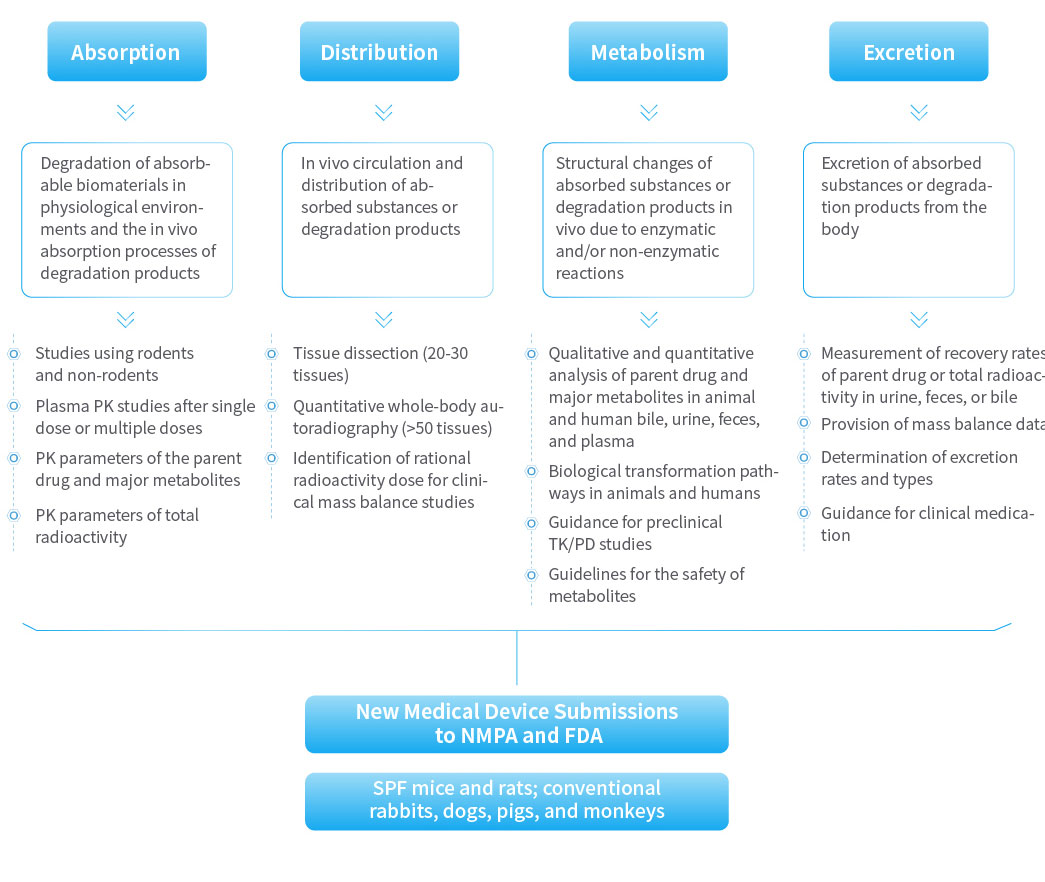 欧美性XXXXX极品娇小