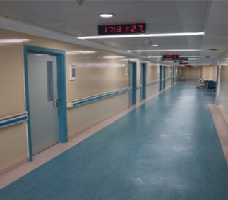 欧美性XXXXX极品娇小