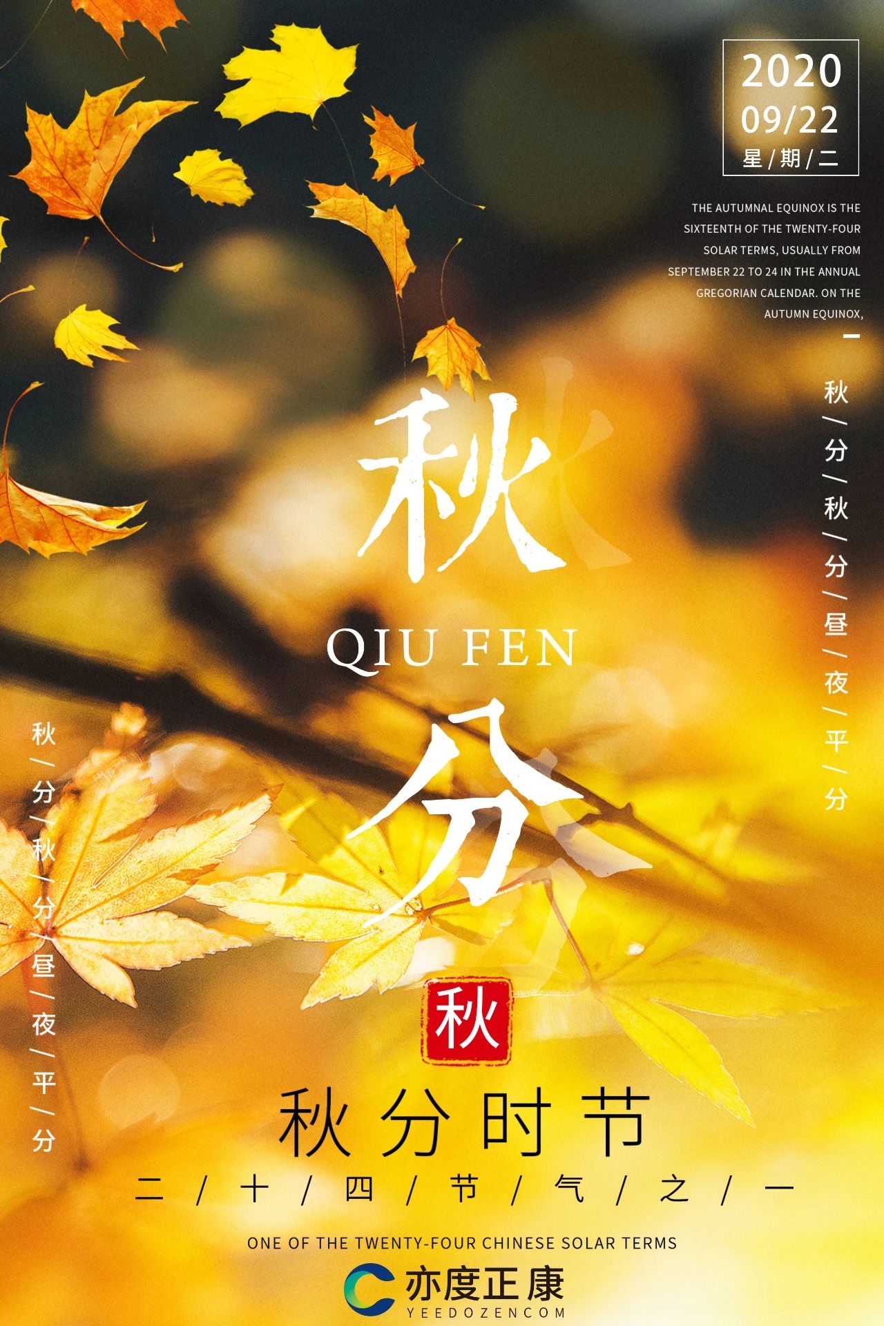 欧美性XXXXX极品娇小