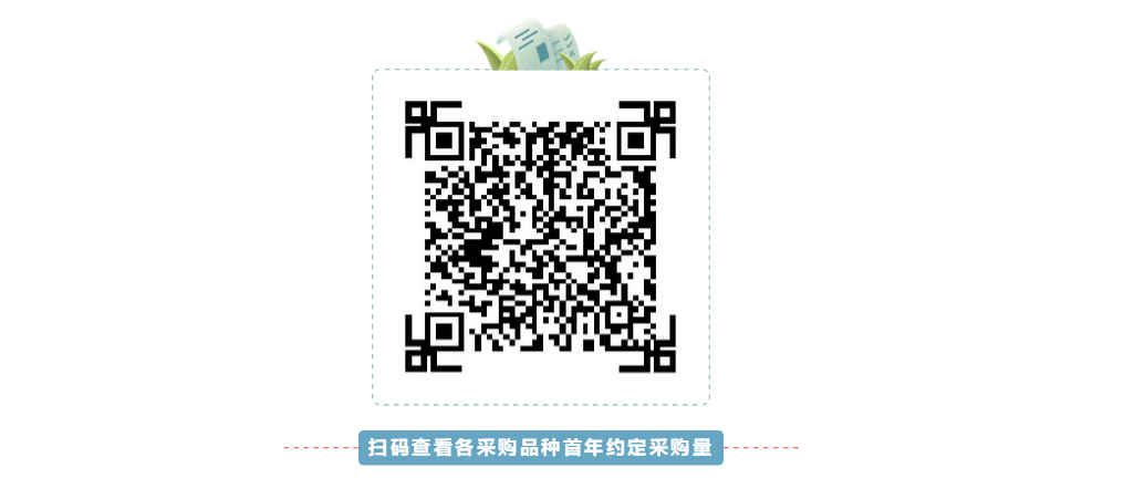 欧美性XXXXX极品娇小