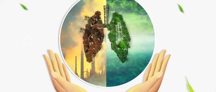 欧美性XXXXX极品娇小