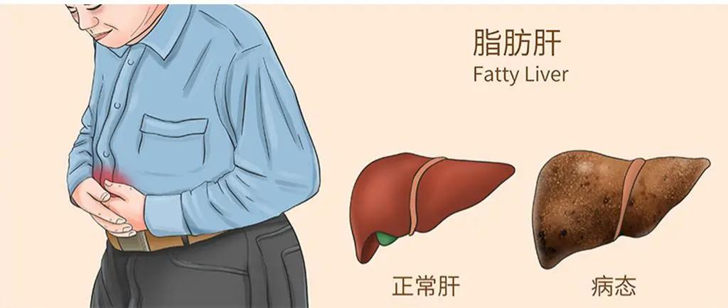 欧美性XXXXX极品娇小