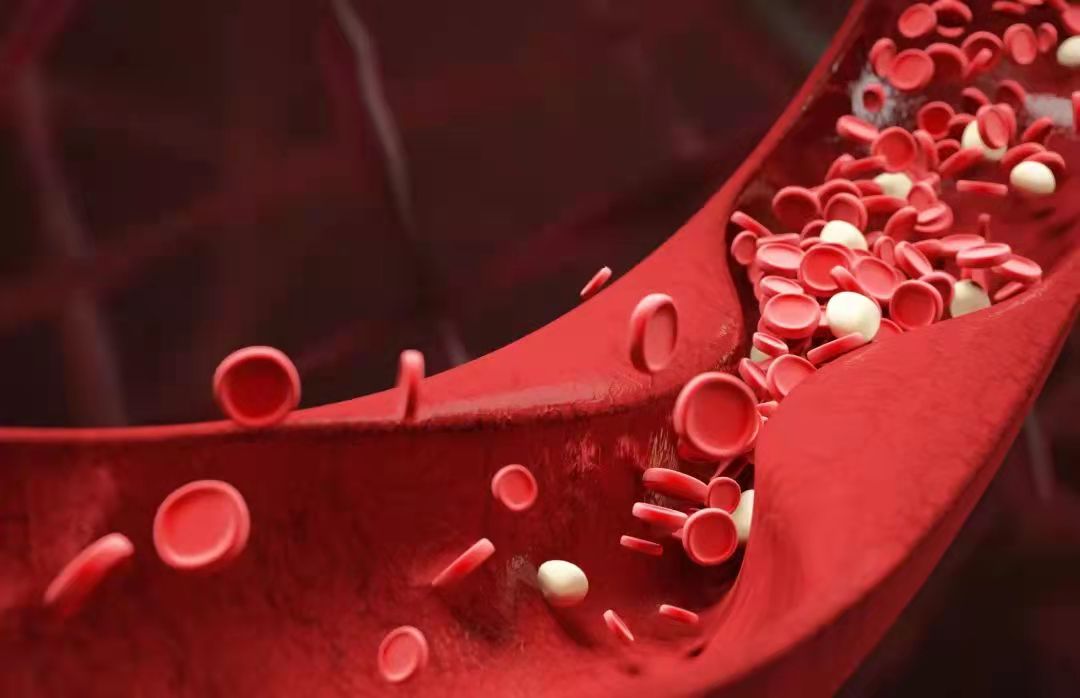 欧美性XXXXX极品娇小