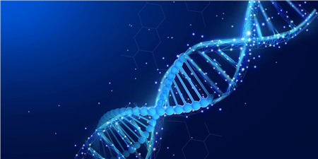 欧美性XXXXX极品娇小