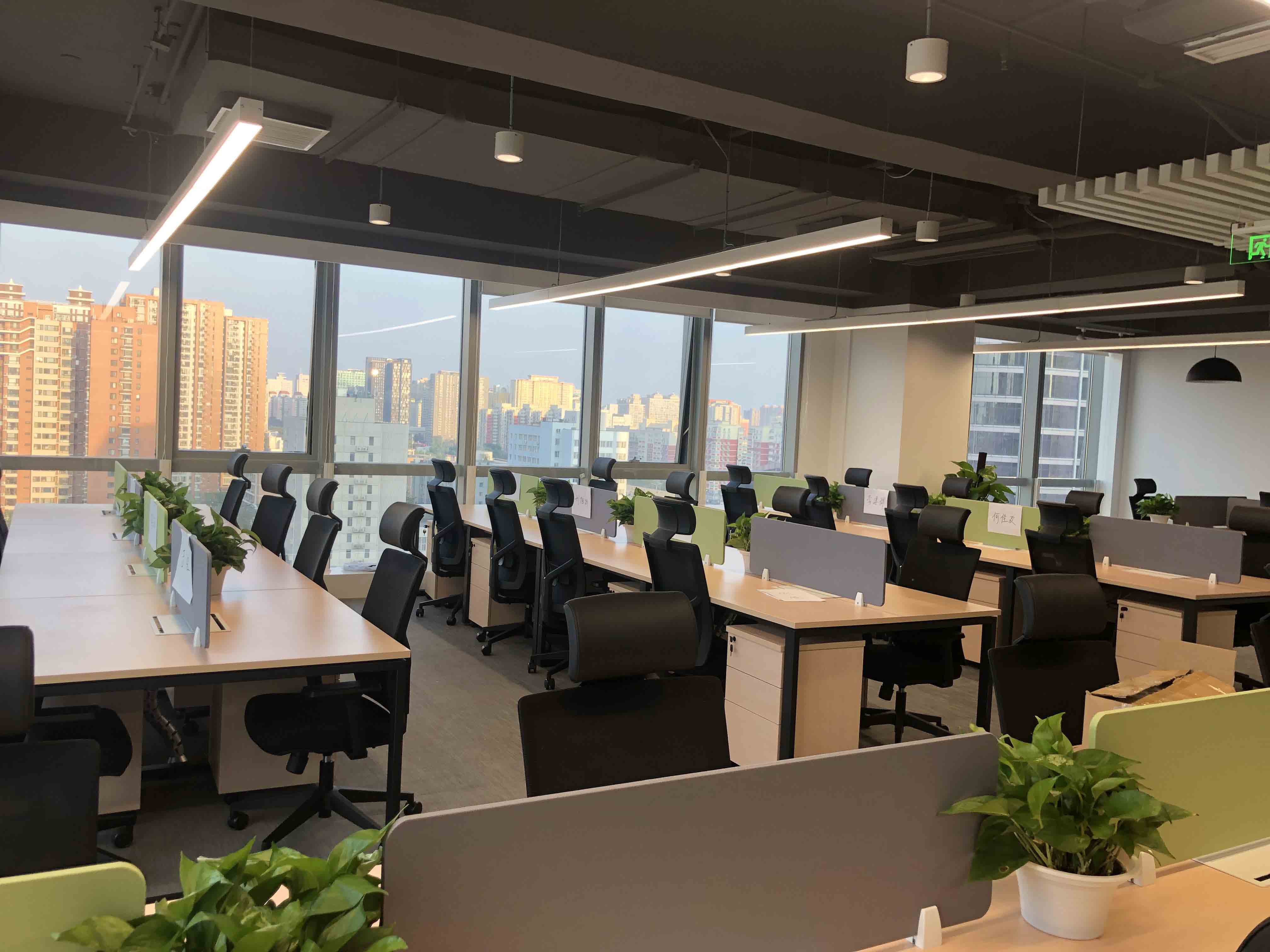 欧美性XXXXX极品娇小