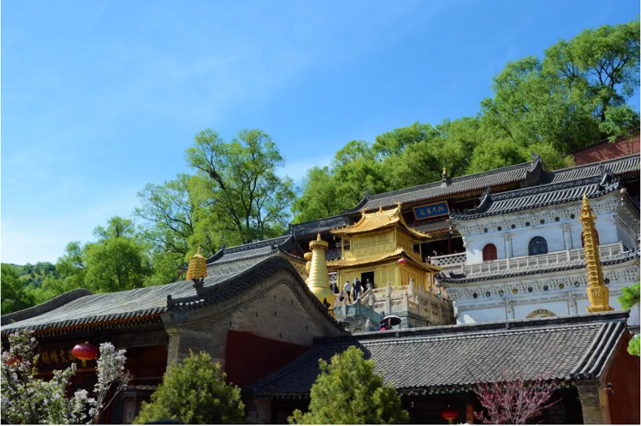 欧美性XXXXX极品娇小