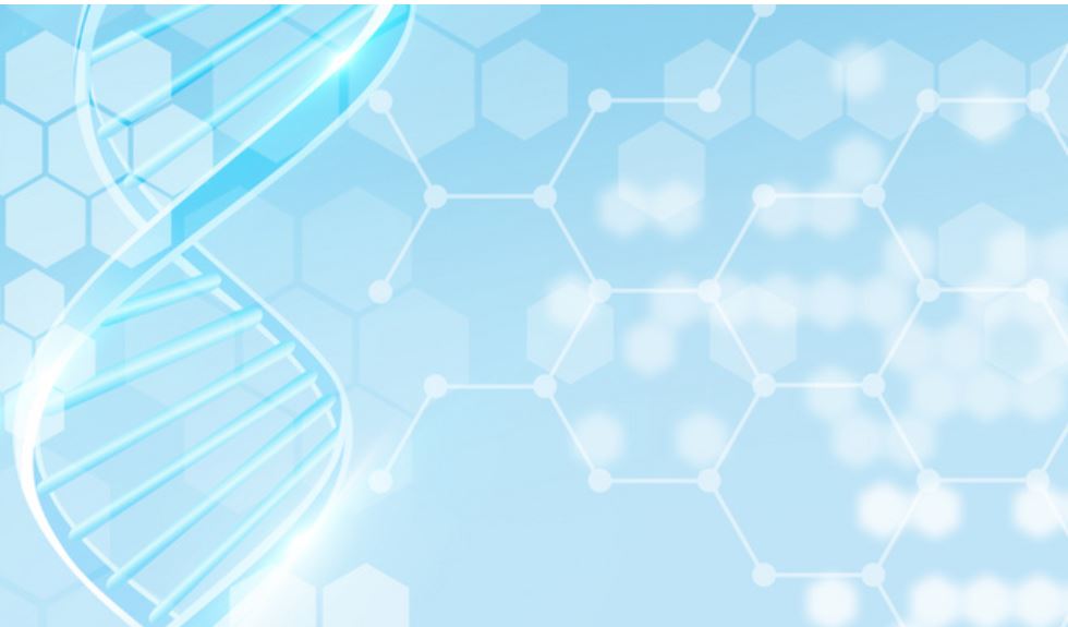 欧美性XXXXX极品娇小