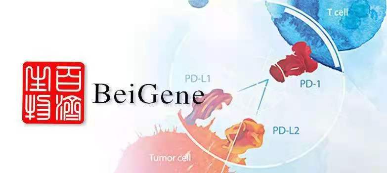 欧美性XXXXX极品娇小