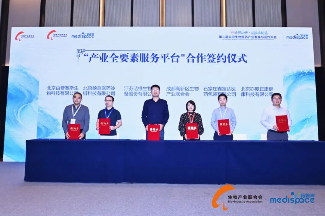 欧美性XXXXX极品娇小